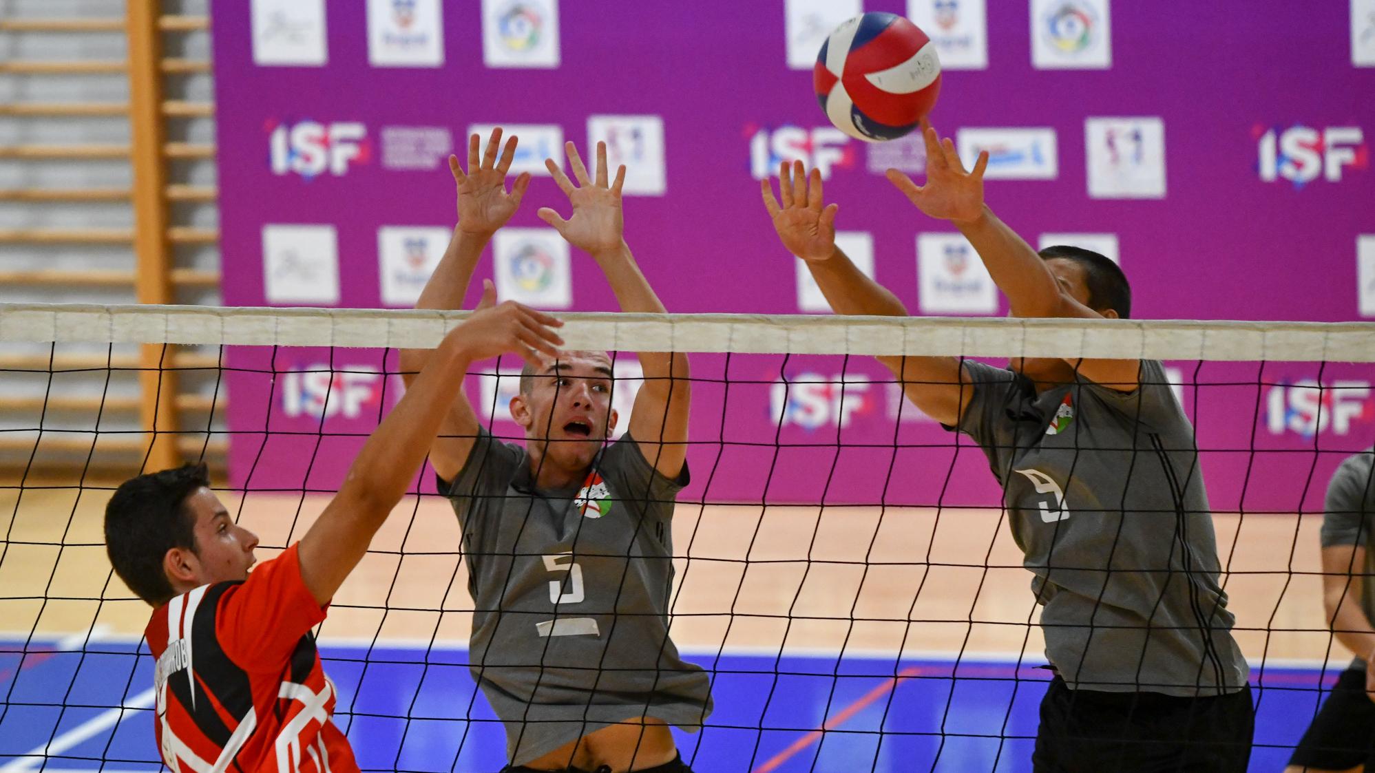 Brazil volleyball online federation